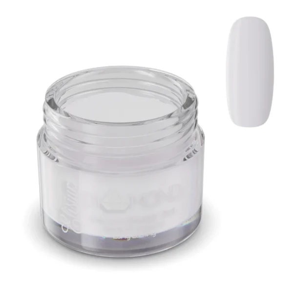 Puder Tytanowy Diamond Silver Stone DS309 23g